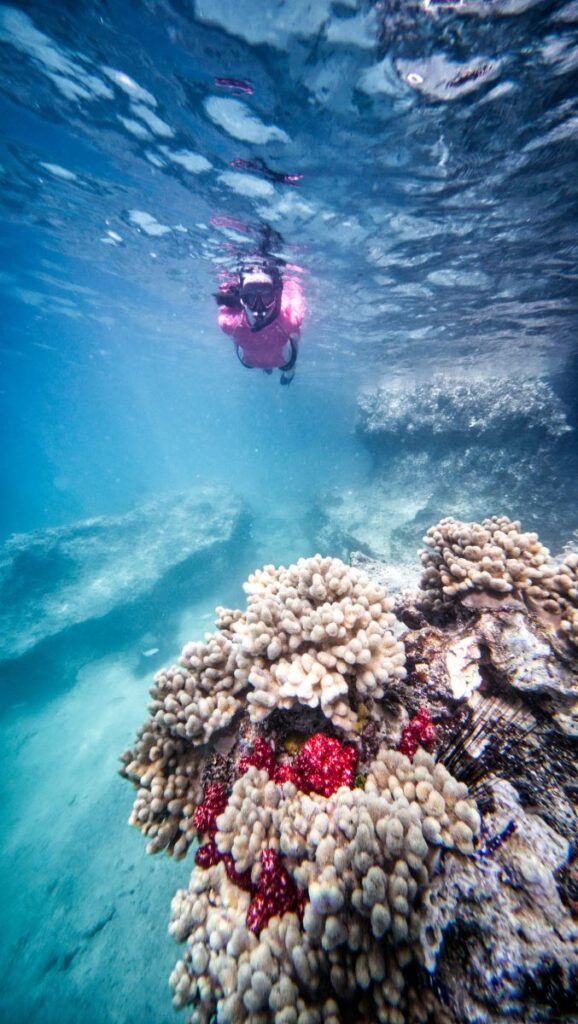 10 Free &amp; Cheap Things to Do in Vava'u