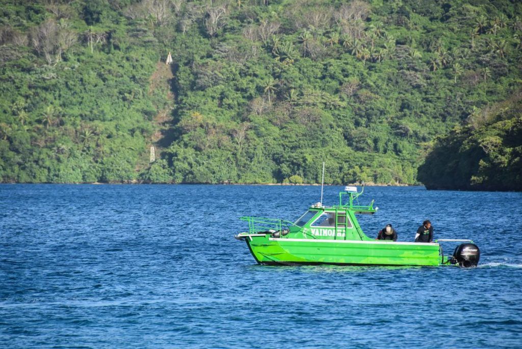 10 Best Whale Swim Tours in Vava'u [2023]