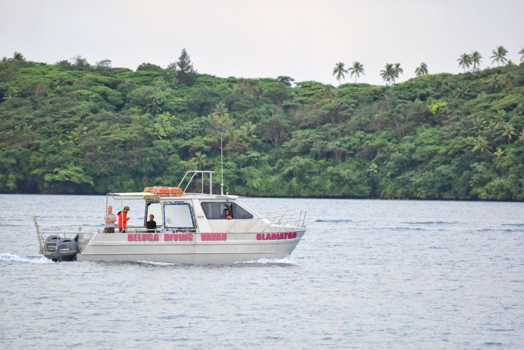 10 Best Snorkelling Tours in Tonga