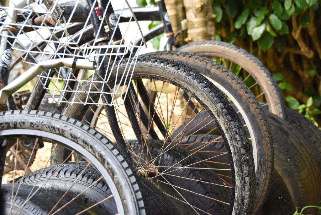 Cycle Tonga: Where to Rent Bicycles in Tonga