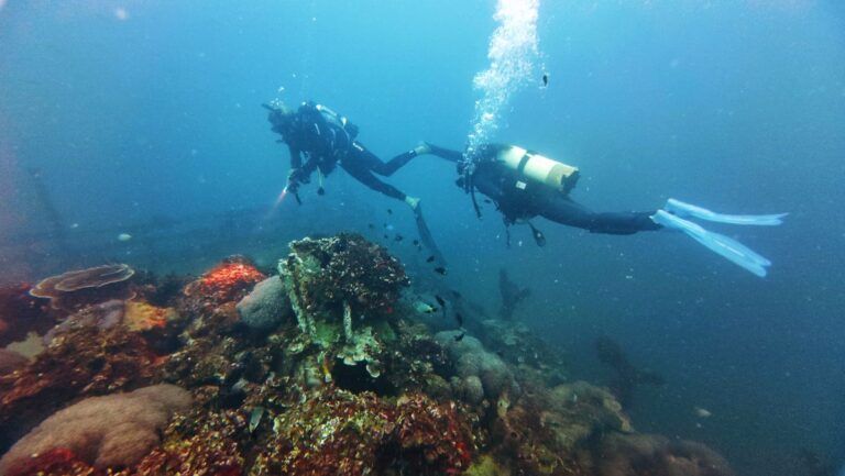 Dive Tonga! The Guide to Scuba Diving in Tonga