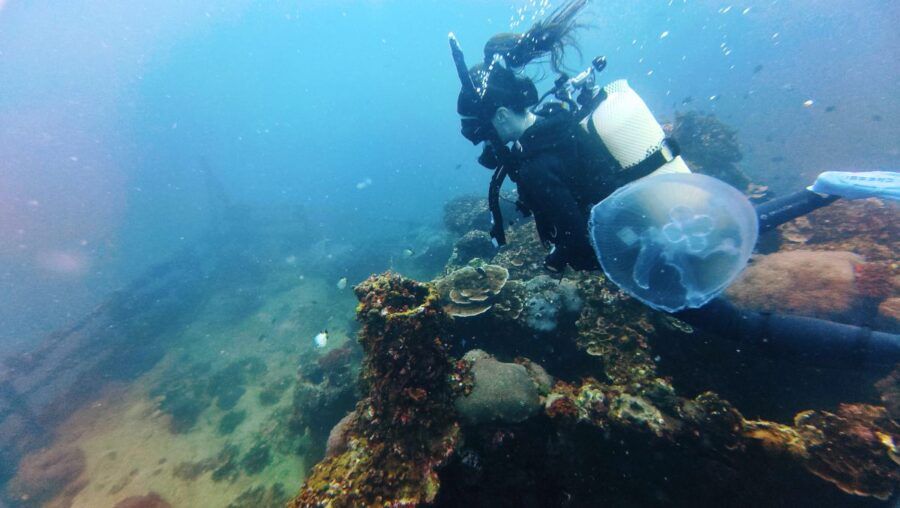 10 BEST Dive Sites in Tonga