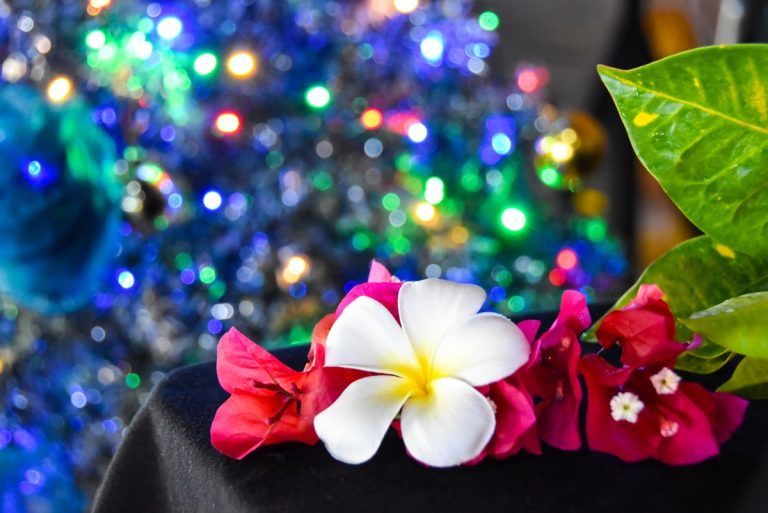 Tonga Christmas Ideas: How to Spend Christmas in Tonga