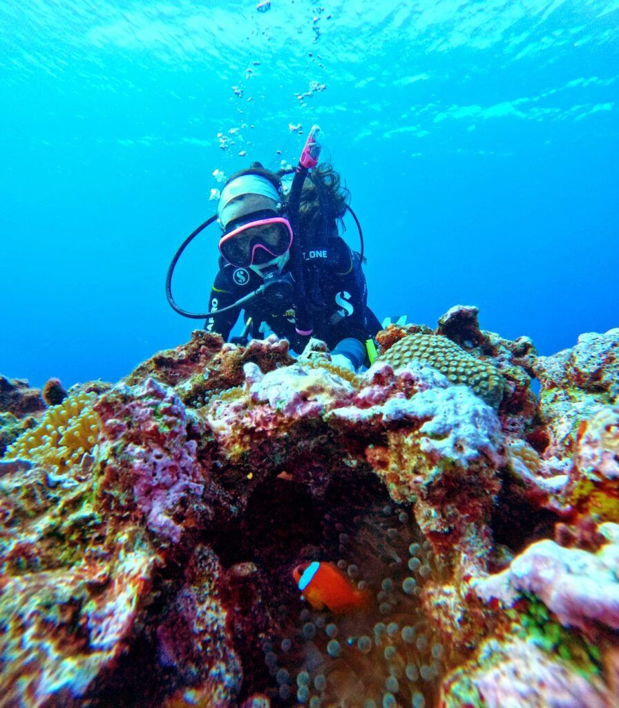 Dive Tonga! The Guide to Scuba Diving in Tonga 🤿 [2025]