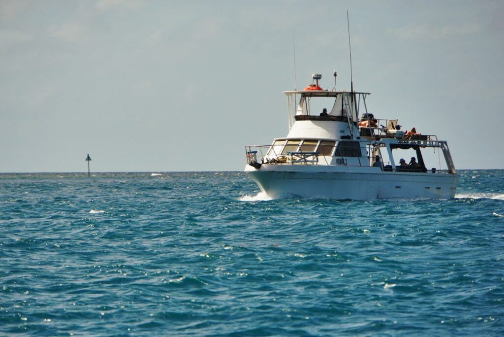 10 Best Snorkelling Tours in Tonga