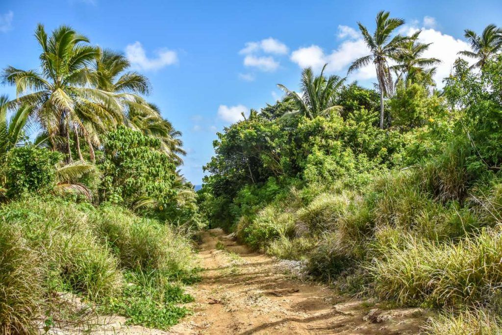 The Guide to Cycling & Mountain Biking in Tonga