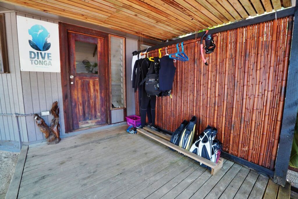 5 Best Dive Resorts in Tonga