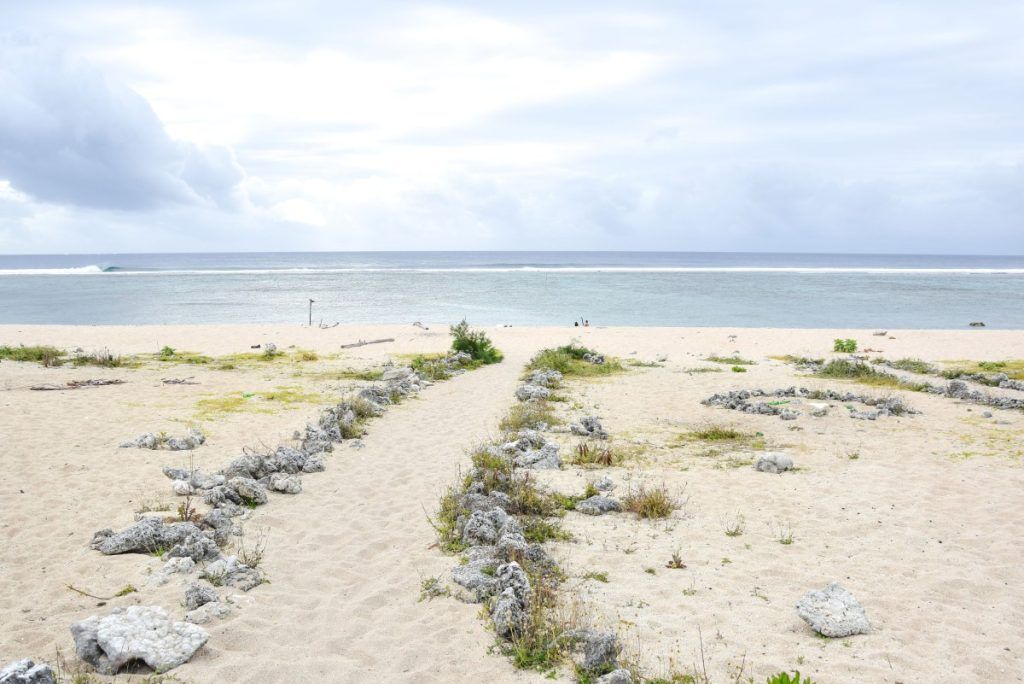 10 Best Places to See Whales in Tonga From Shore