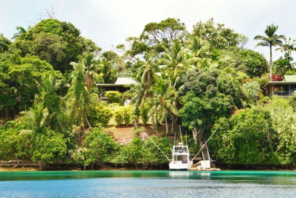 6 Best Fishing Charters in Tonga