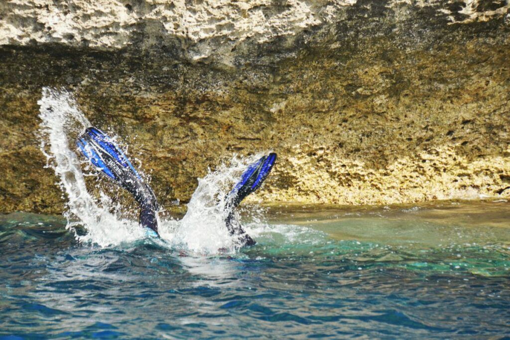 10 Best Places to Snorkel in Tonga