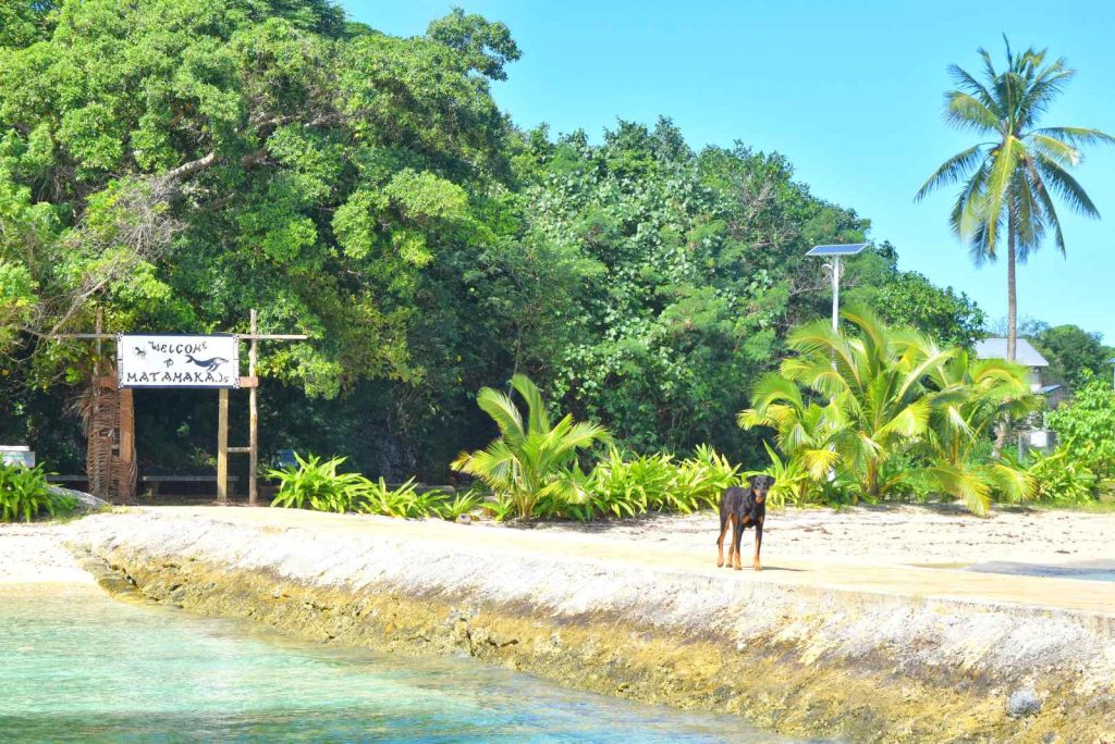 The Top 30 Resorts in Tonga ????️ [2023]