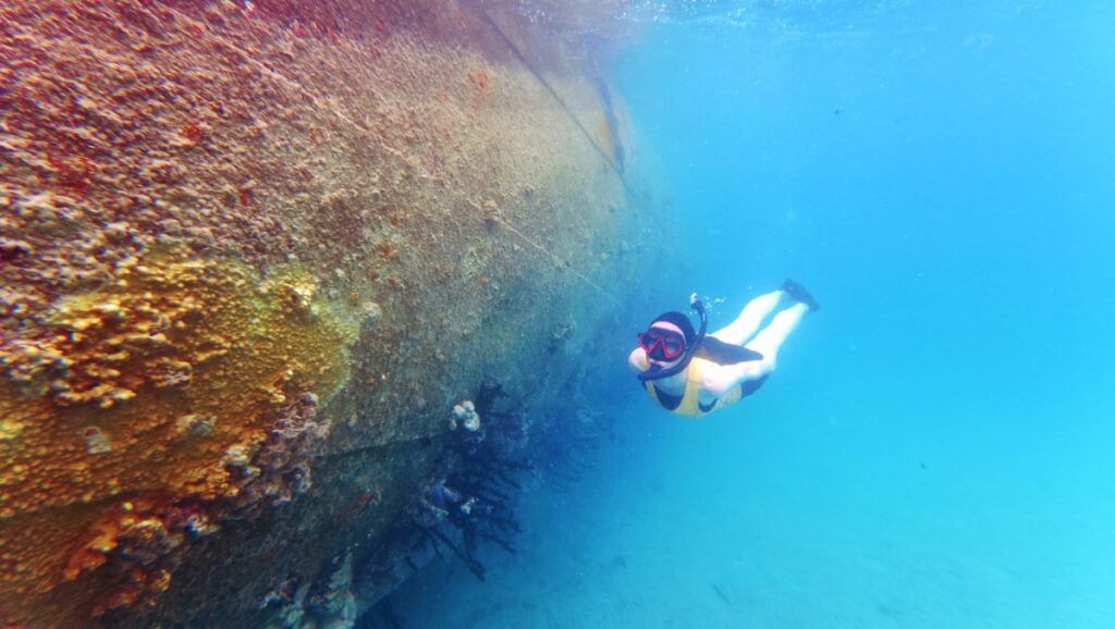 10 Best Snorkelling Tours in Tonga