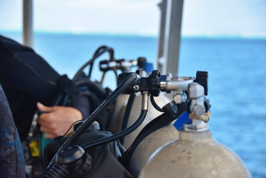 5 Best Dive Shops &amp; Operators in Tonga