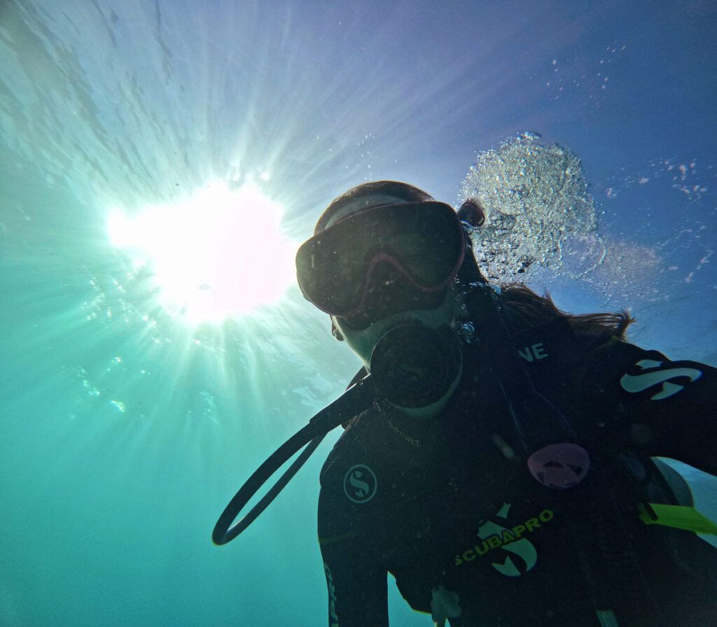 10 BEST Dive Sites in Tonga