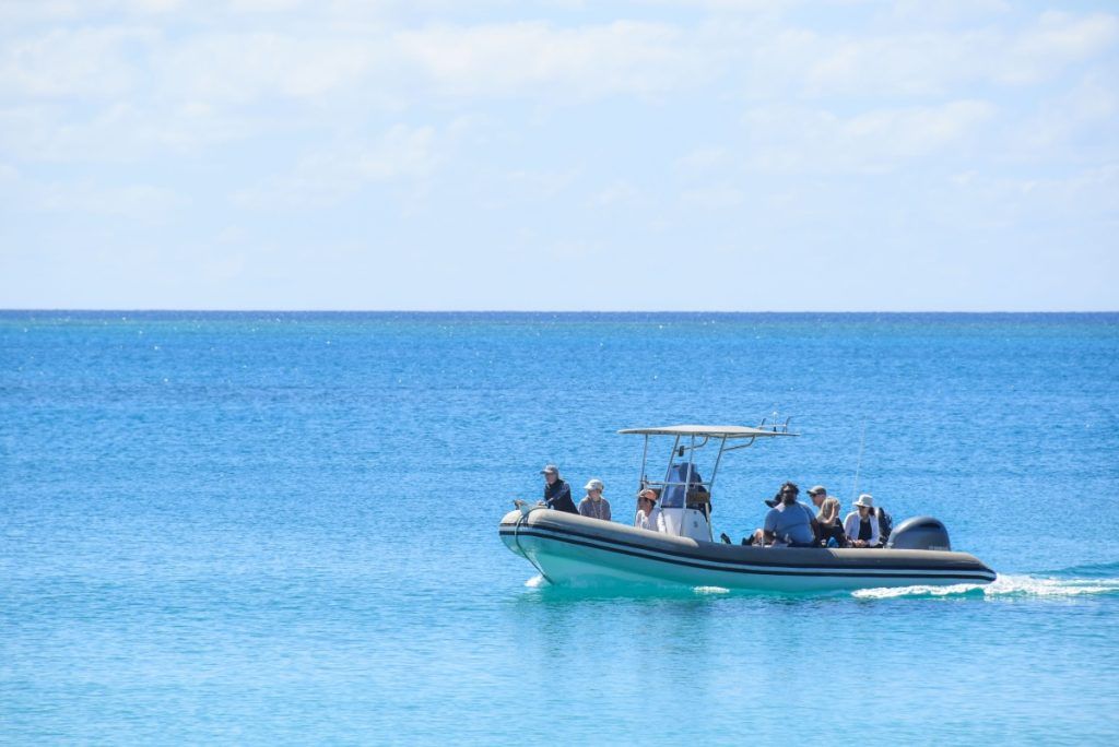 5 Best Fishing Charters in Tonga
