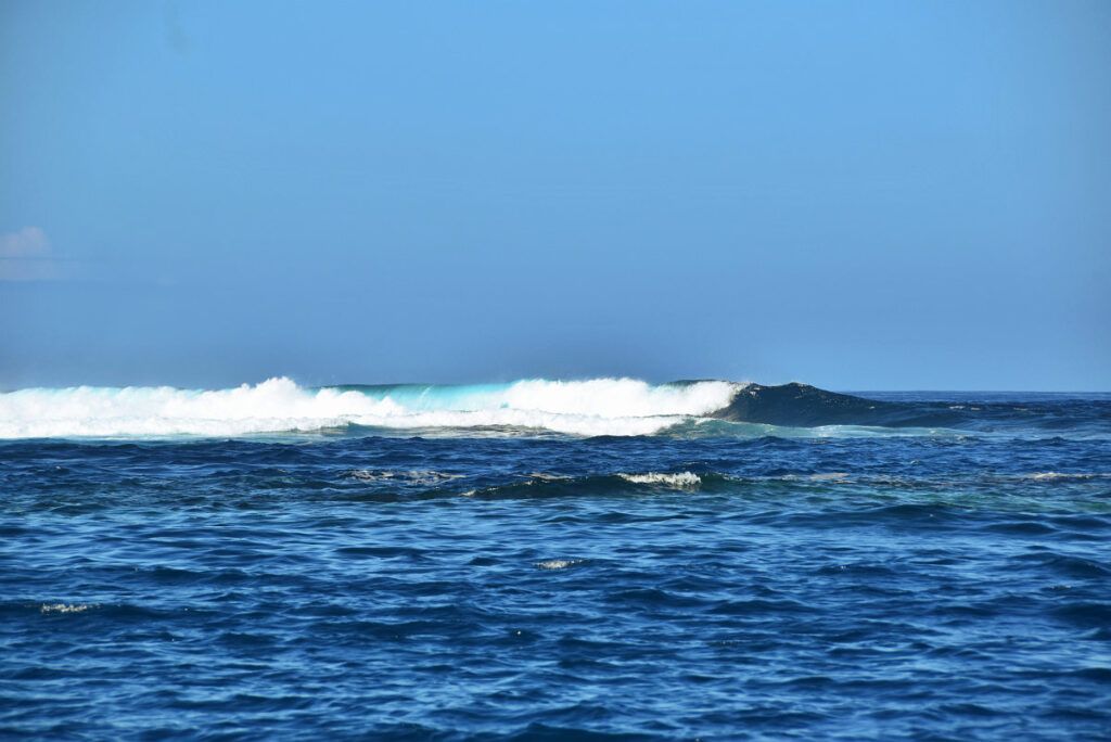 10 Tonga Surf Tips for Your First Time Surfing in the Kingdom