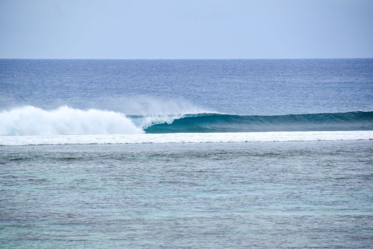 The Complete Guide to Surfing in Tonga