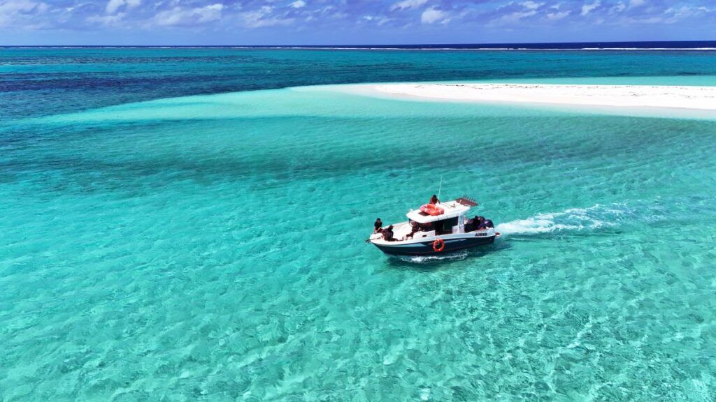 The Food Guide to Tongatapu: Places to Eat &amp; Food Tours