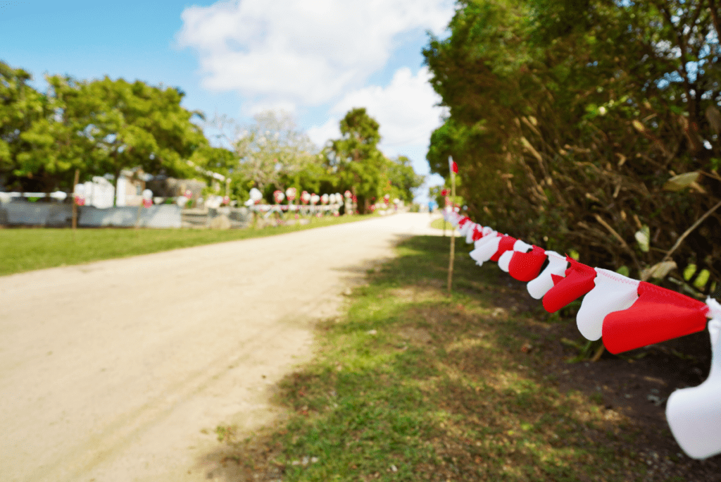 The Top Events &amp; Festivals in Tonga 🎉 [2025]