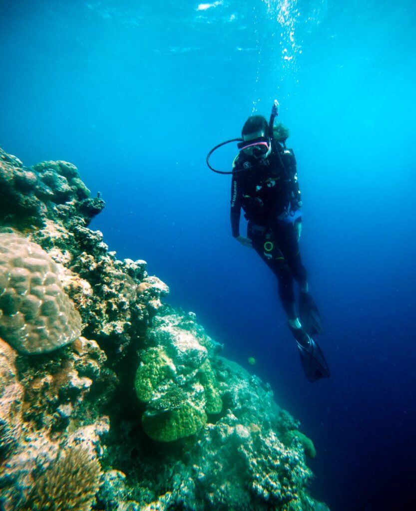 5 Best Dive Shops &amp; Operators in Tonga