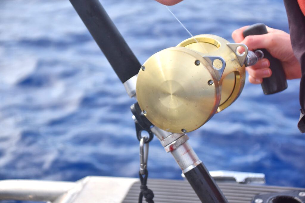 6 Best Fishing Charters in Tonga