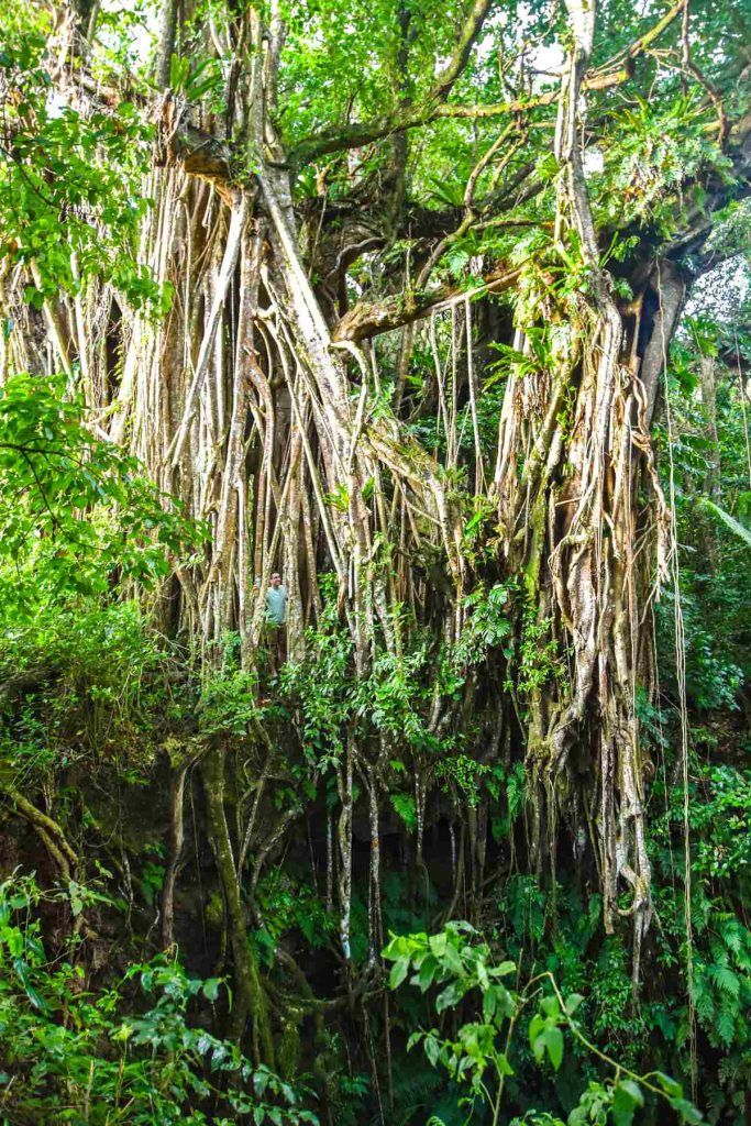 101 Best Things to Do in Tonga: The Ultimate List ???? [2023]