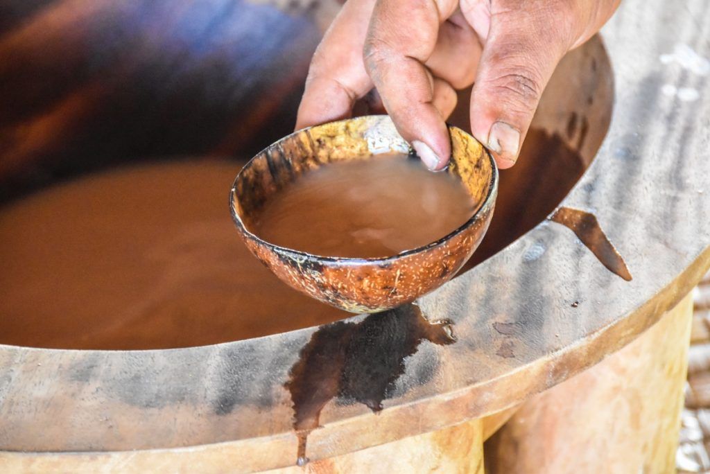 Where to Try Kava in Tonga 🌿
