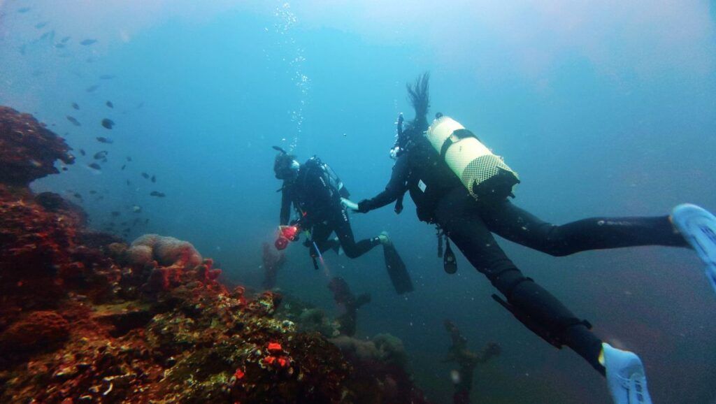 15 Things to Do in Tonga on a Rainy Day