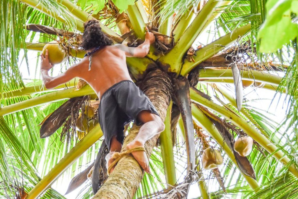 15 Best Things to Do in Tonga with Kids