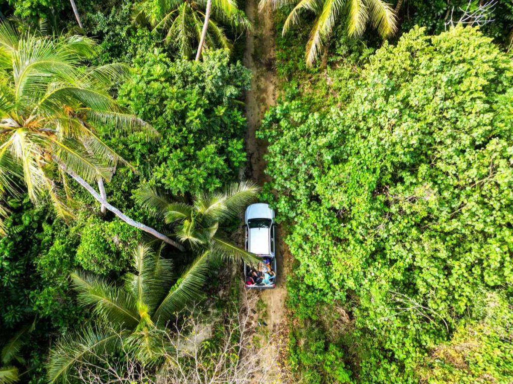 101 Best Things to Do in Tonga: The Ultimate List ???? [2023]
