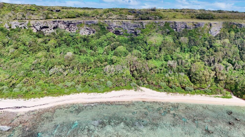 100 Best Things to Do in Tonga: The Ultimate List