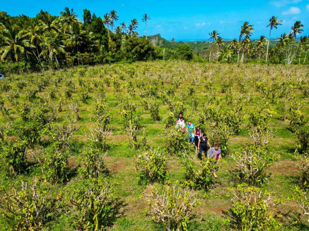 101 Best Things to Do in Tonga: The Ultimate List ???? [2023]
