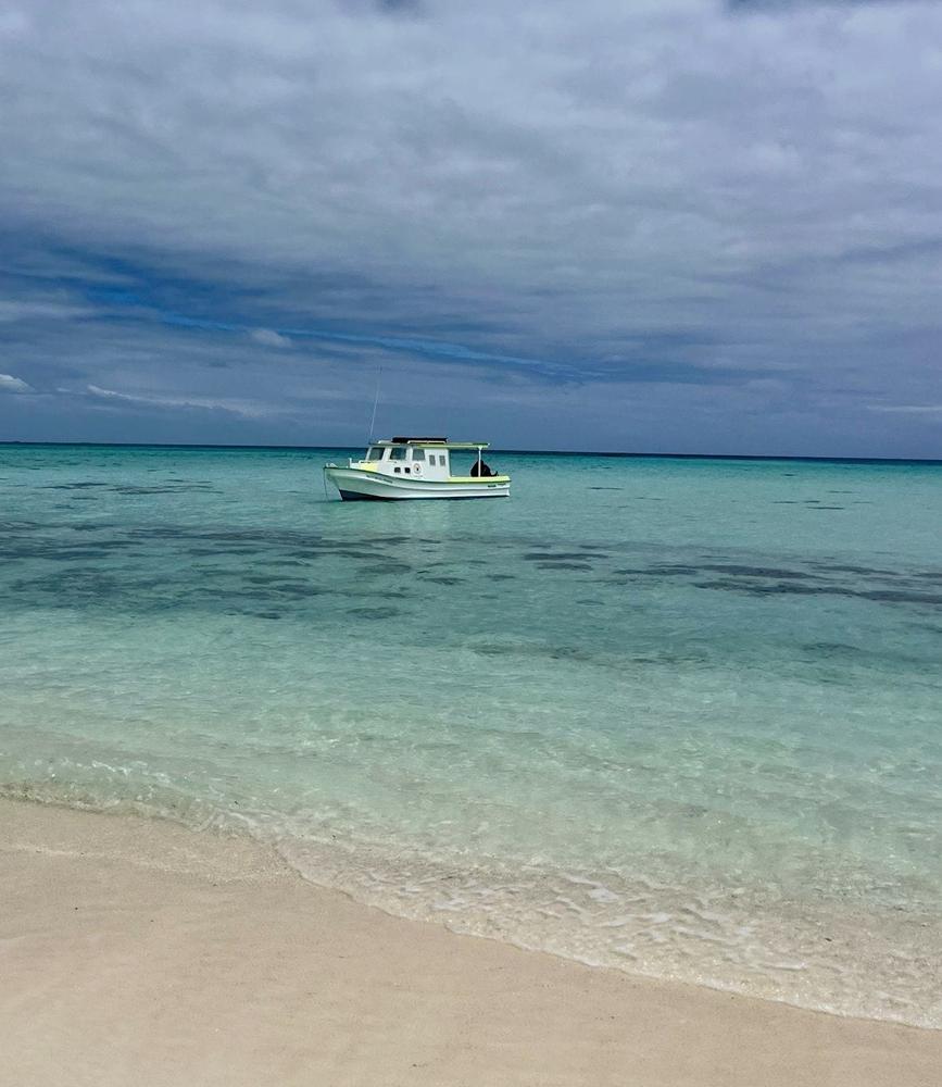 12 Best Boat Tours &amp; Day Cruises in Tonga