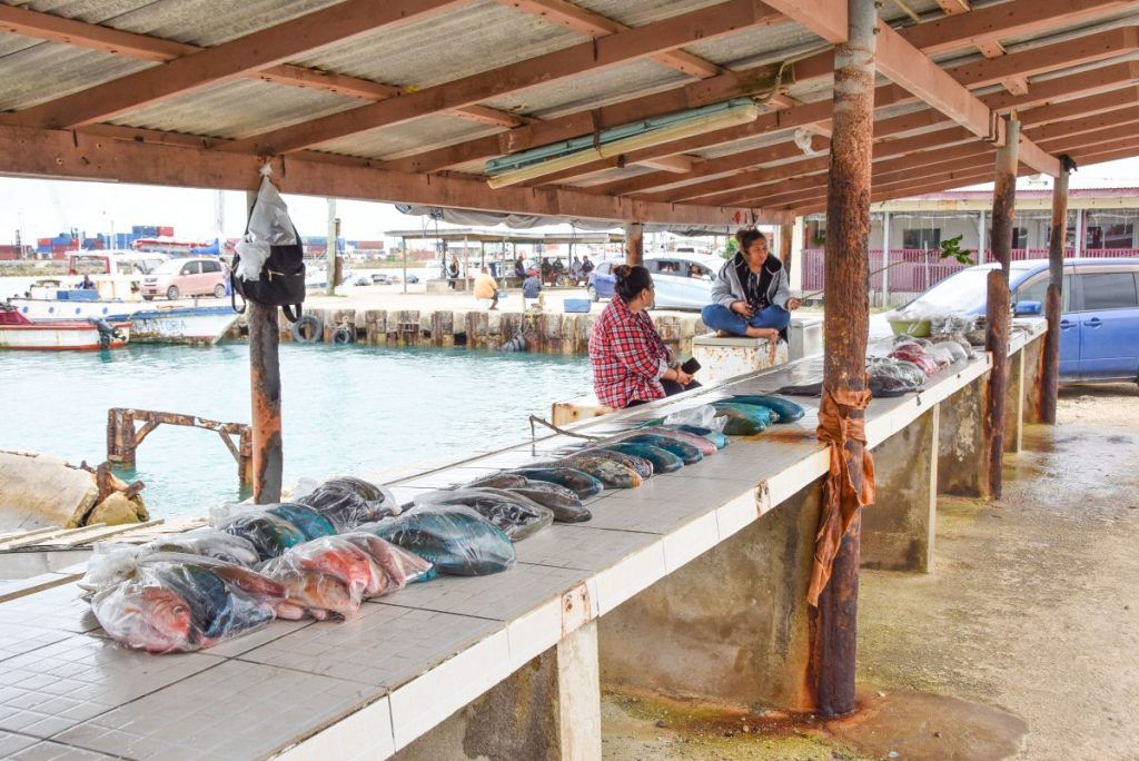 5 Best Markets in Tonga