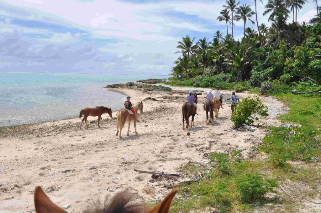 The Guide to Horse Riding in Tonga