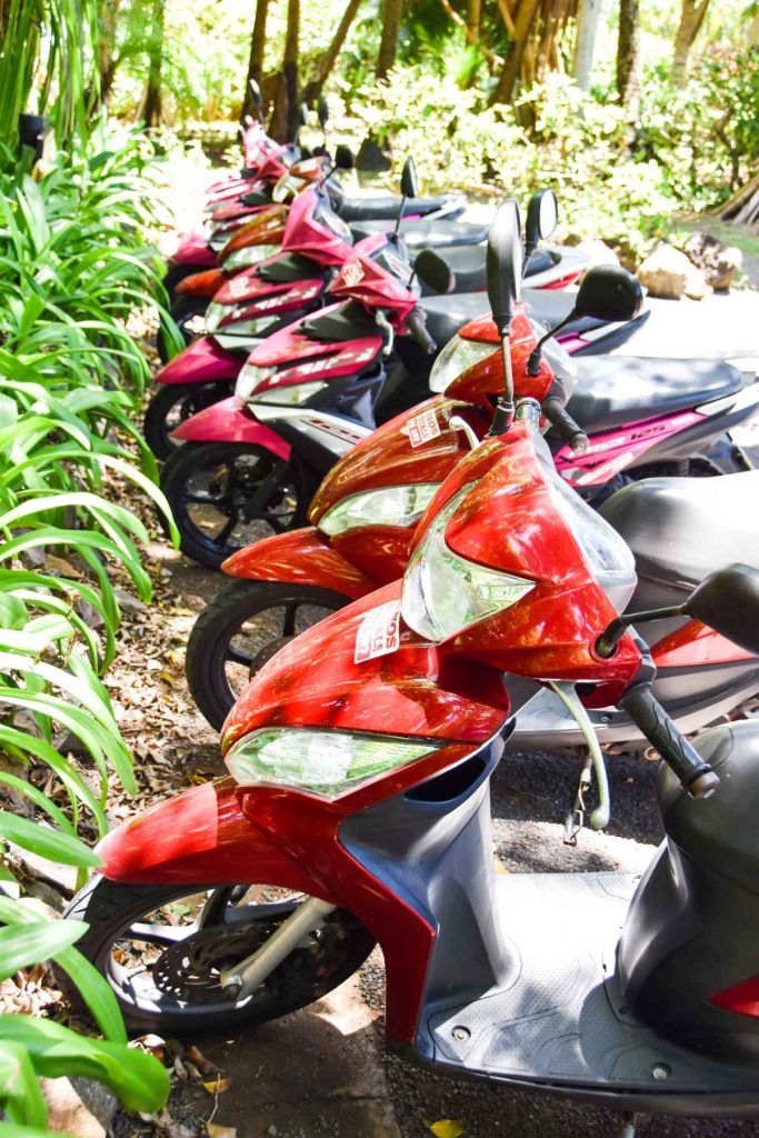 Can You Rent a Motorcycle in Tonga? Tonga Pocket Guide