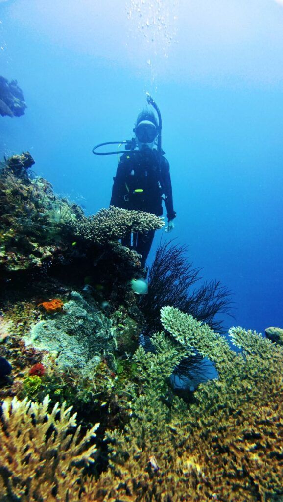 10 Most Luxurious Experiences in Tonga