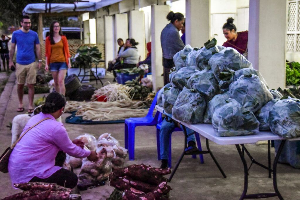 A Self-Guided Day Trip of Ha'apai: One Day Itinerary