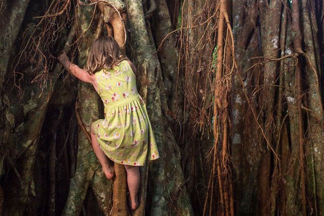 Tonga Family Itinerary: 14 Days / 2 Weeks