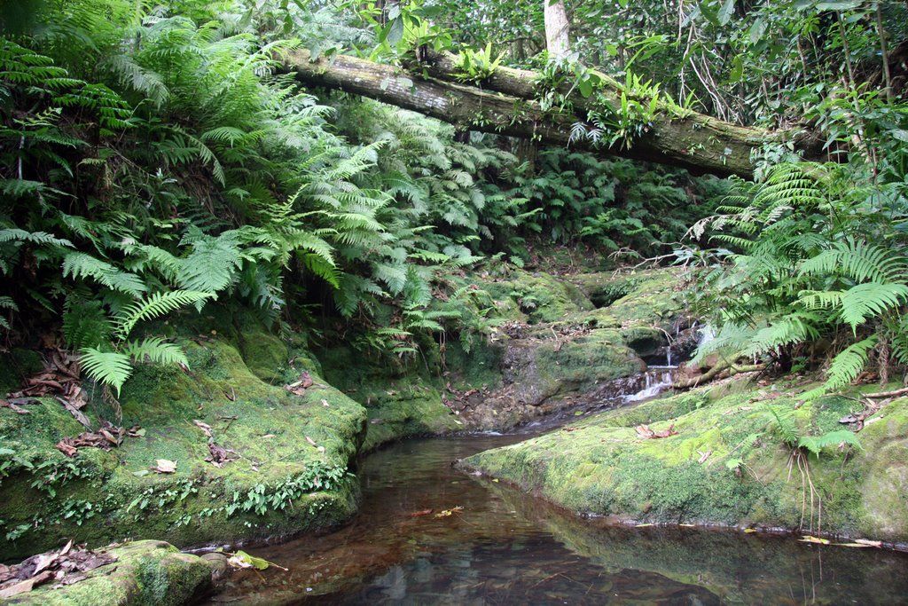 A Self-Guided Day Trip of 'Eua: One Day Itinerary