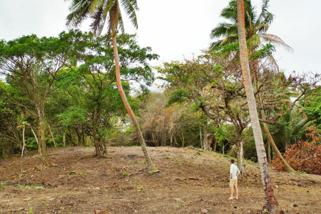 A Self-Guided Day Trip of Ha'apai: One Day Itinerary