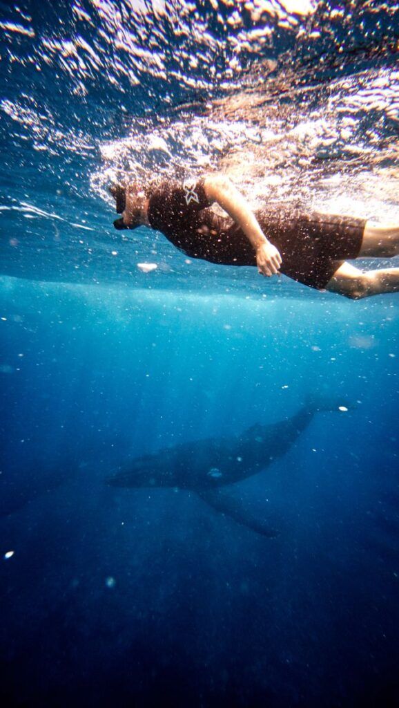 The Complete Travel Guide to Tonga